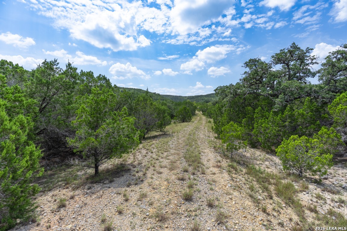 865 Arrowhead Point Helotes, TX 78023 - Photo 7 of 20