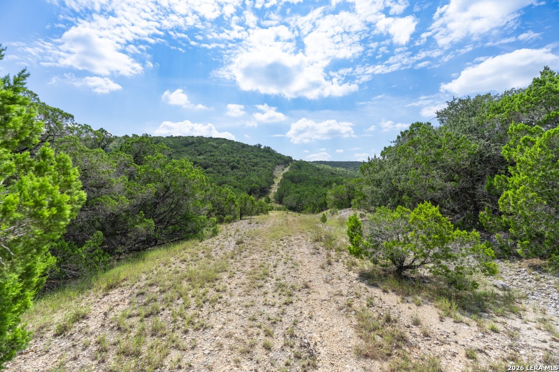 865 Arrowhead Point Helotes, TX 78023 - Photo 8 of 20