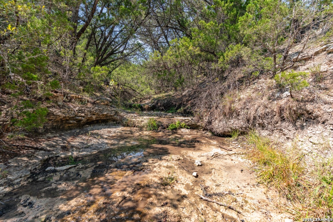 865 Arrowhead Point Helotes, TX 78023 - Photo 9 of 20