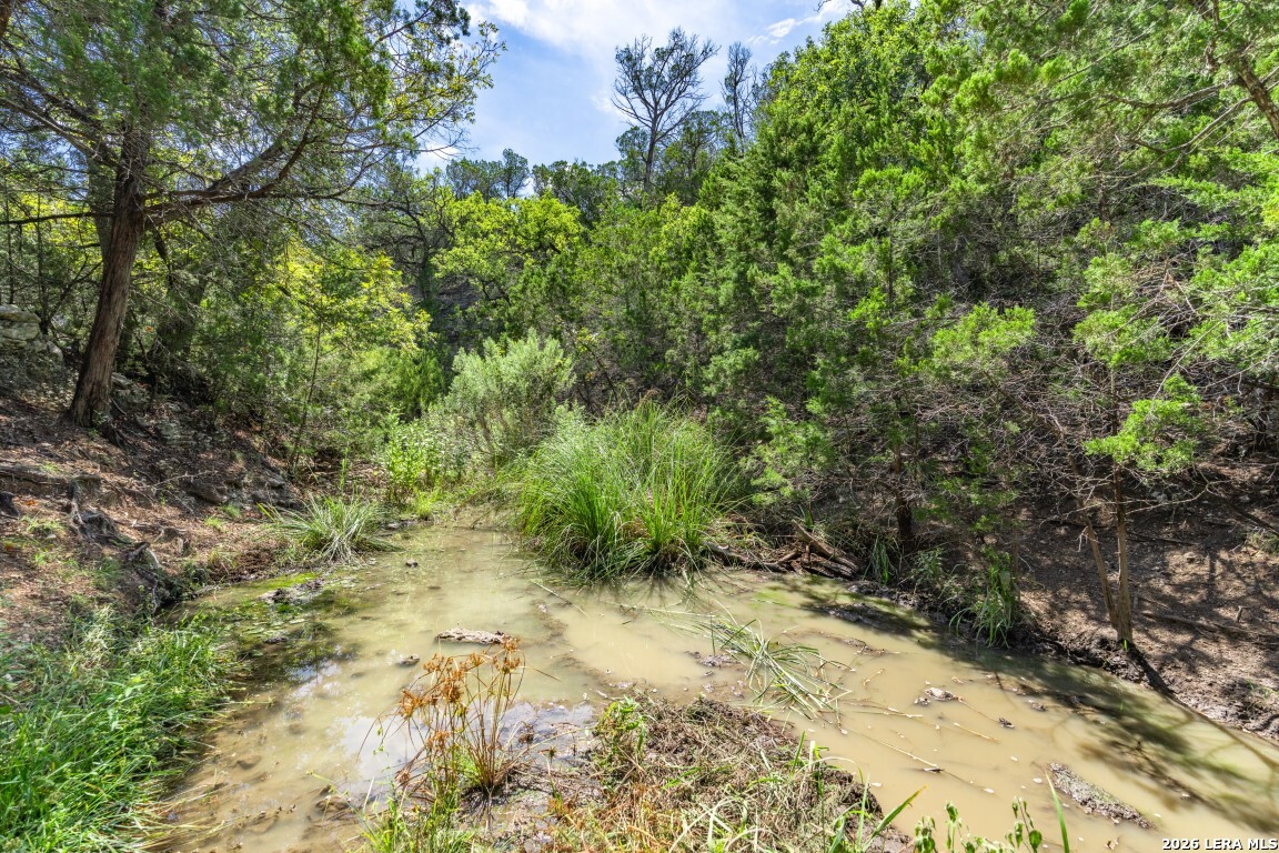 865 Arrowhead Point Helotes, TX 78023 - Photo 10 of 20