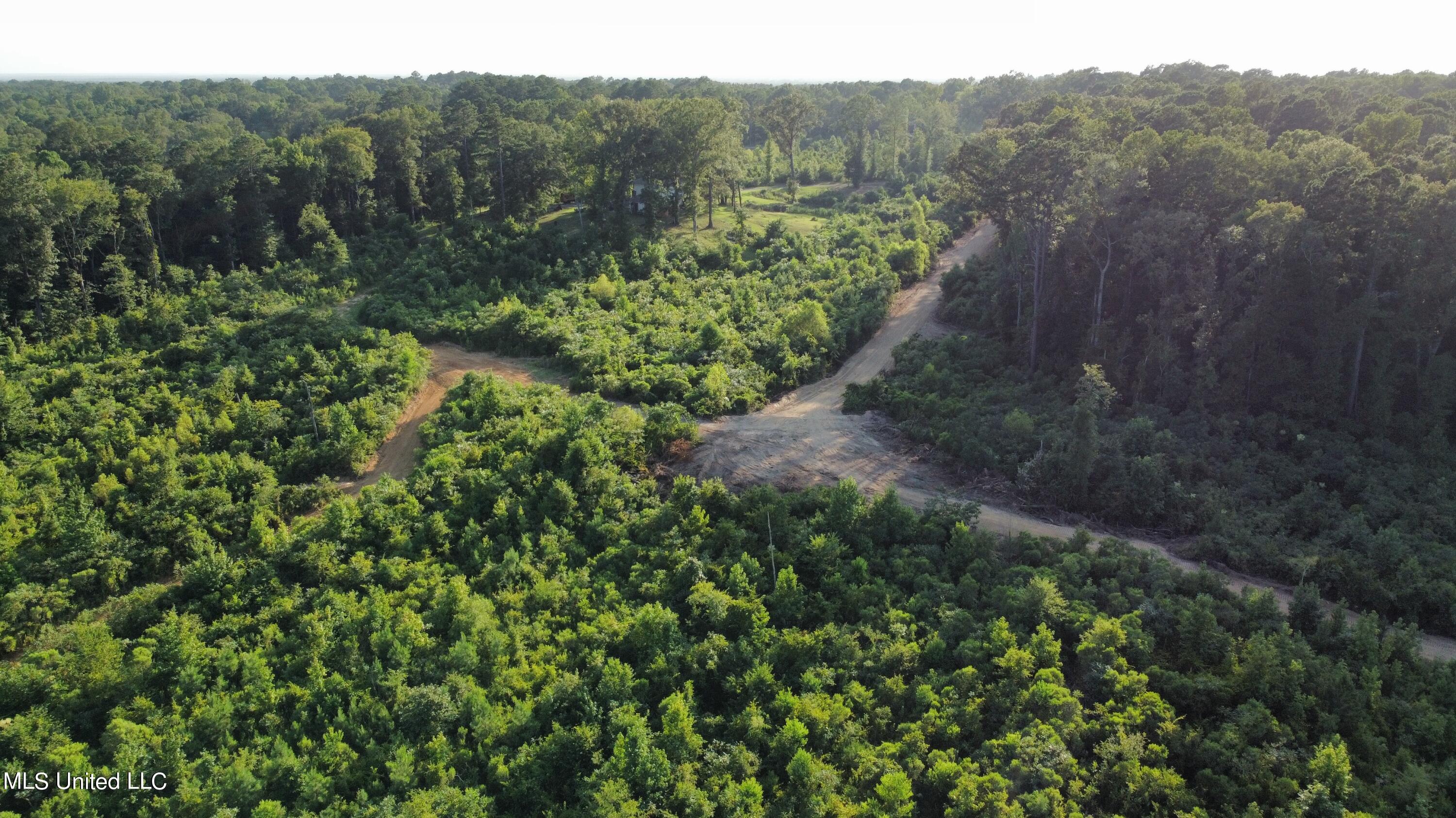 2343 Cleary Road Florence, MS 39073 - Photo 8 of 14 dji_fly_20230720_182542_245_168989555840