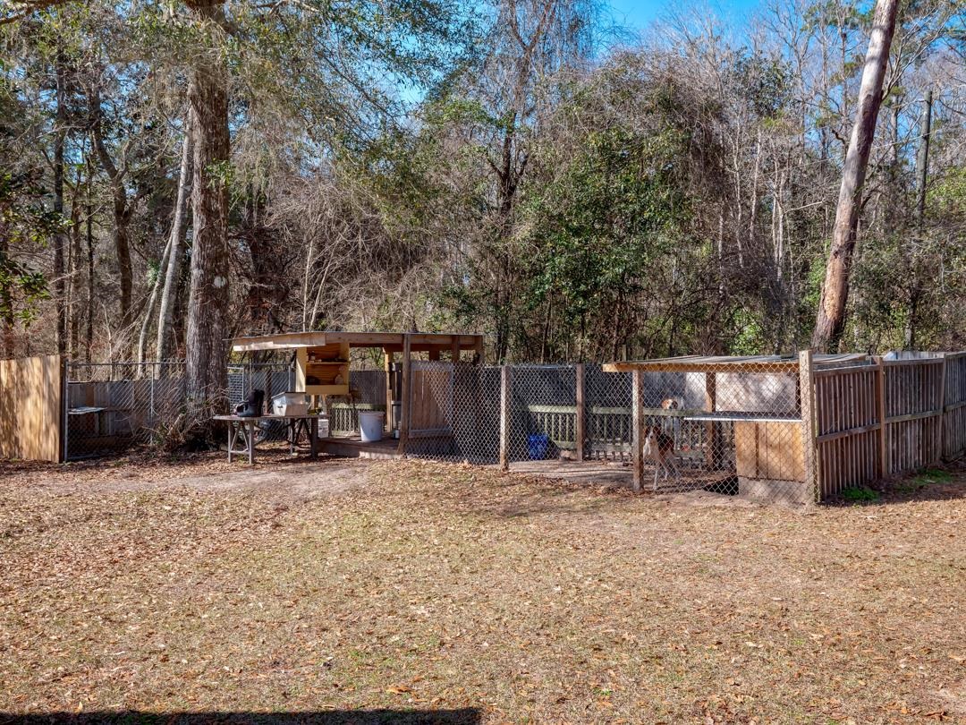 731 Conrad Hills Road Havana, FL 32333 - Photo 11 of 24 Gallery Image 11