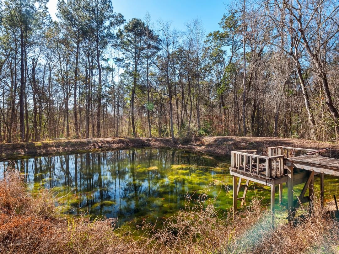 731 Conrad Hills Road Havana, FL 32333 - Photo 12 of 24 Gallery Image 12