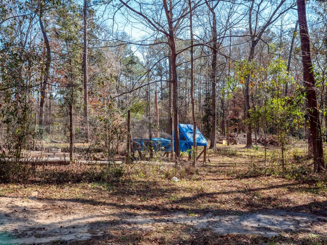731 Conrad Hills Road Havana, FL 32333 - Photo 14 of 24 Gallery Image 14