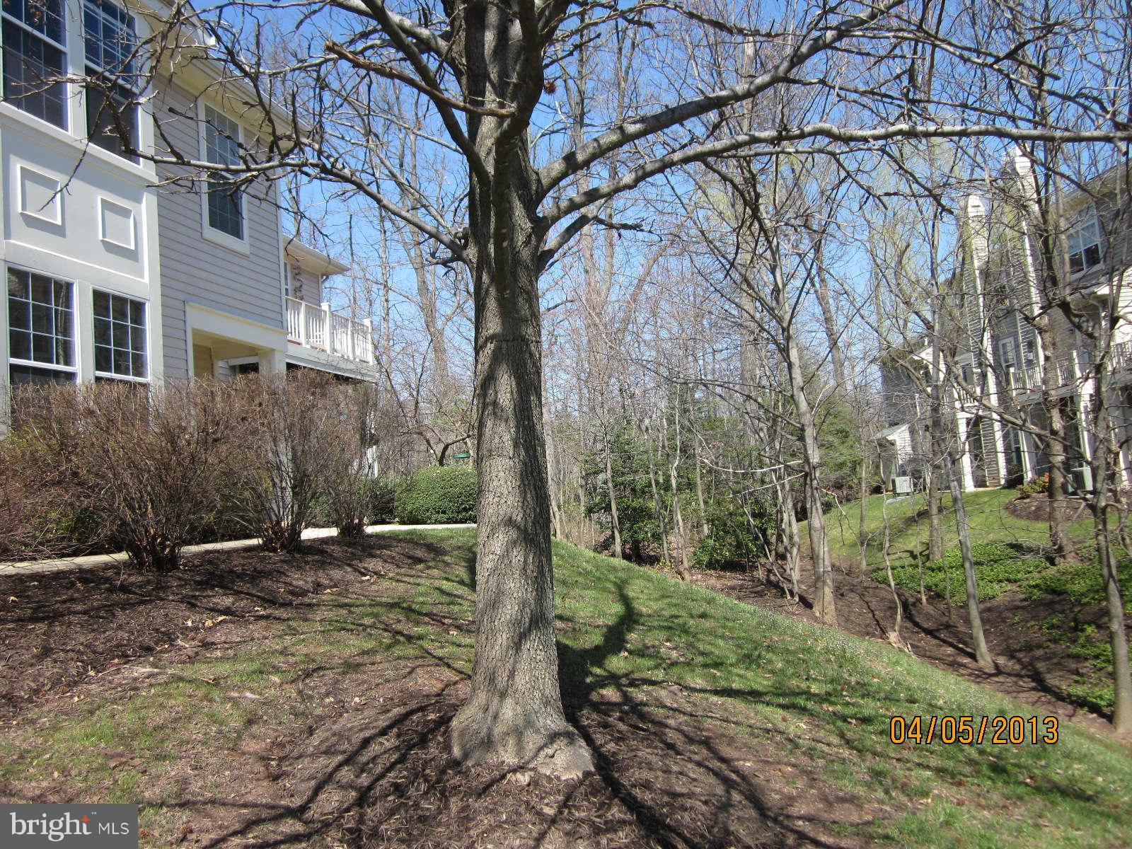 1305 Windleaf Drive, Unit 176 Reston, VA 20194 - Photo 28 of 28 Exterior (Front)