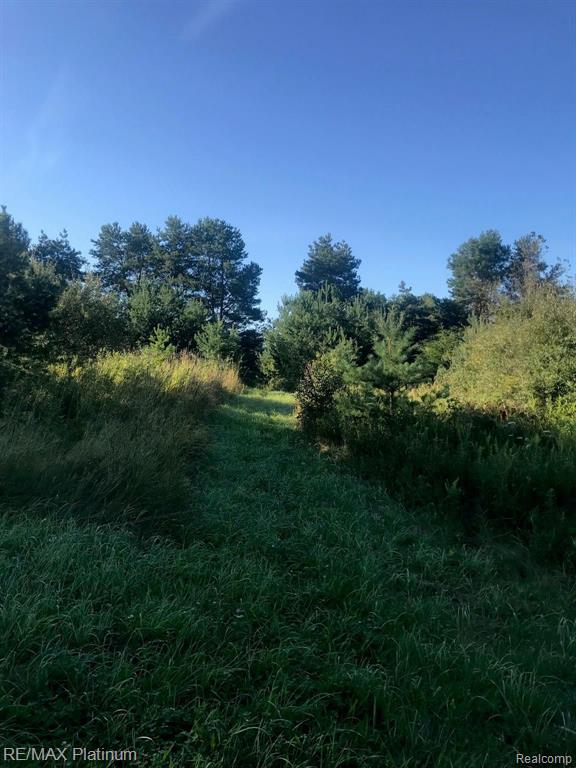 2 Hacker Brighton, MI 48114 - Photo 2 of 16