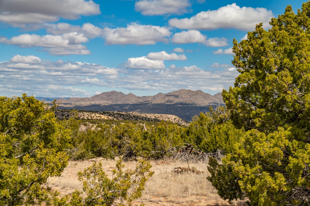 Tbd Hanuman Road Cerrillos, NM 87010 - Photo 15 of 33