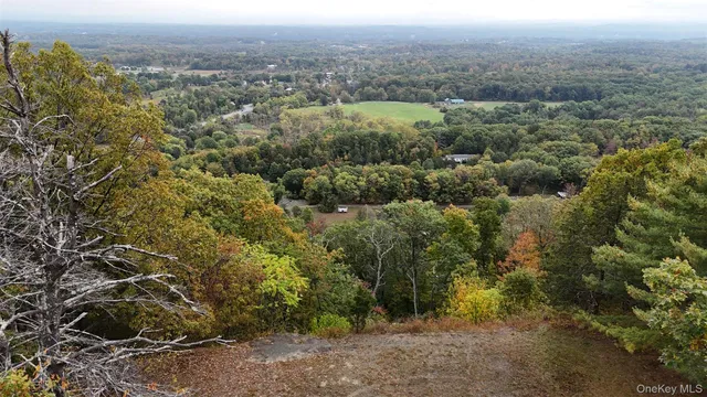 $80,000 | 157 Mt Airy Road, Saugerties, NY 12477