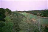 599 Chequessett Neck Road Wellfleet, MA 02667 - Photo 20 of 21 Additional Photo