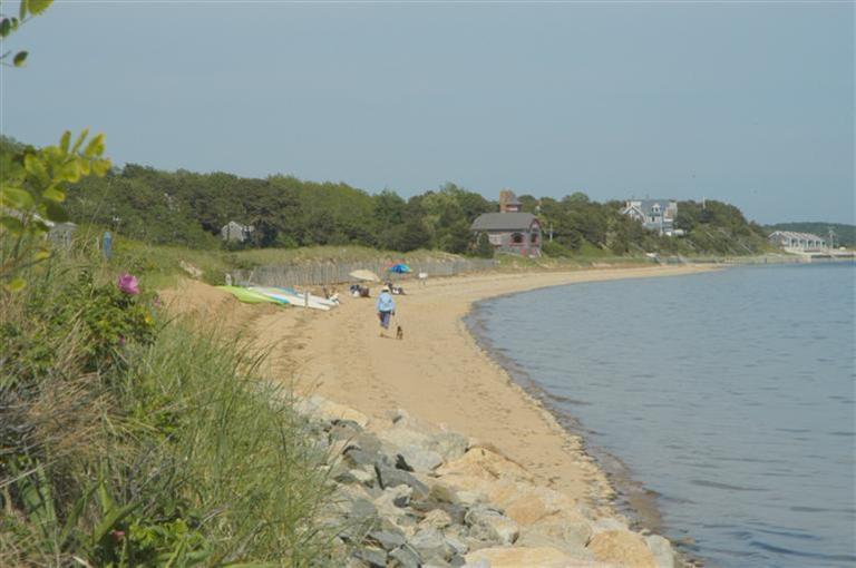 599 Chequessett Neck Road Wellfleet, MA 02667 - Photo 9 of 21 Additional Photo