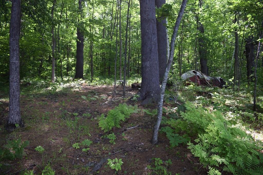 Lot 0 Webber Road East Waterboro, ME 04030 - Photo 5 of 6 Photo