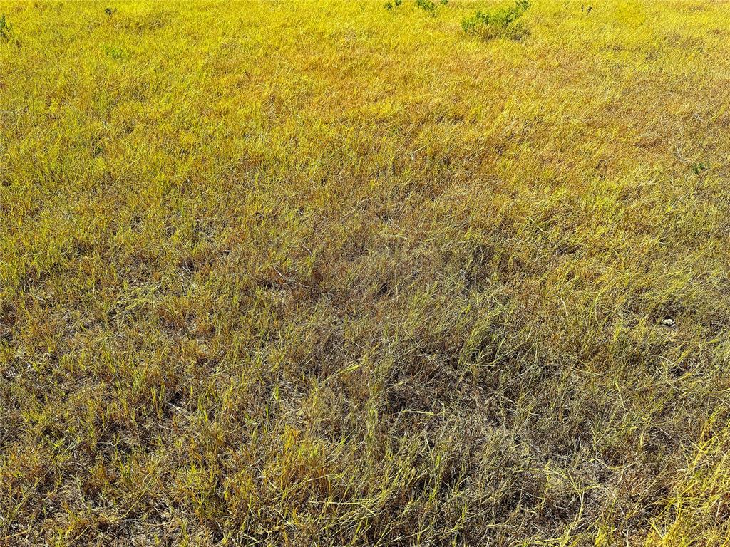 6 Hayes Road Mineral Wells, TX 76067 - Photo 13 of 20 a view of a small yard