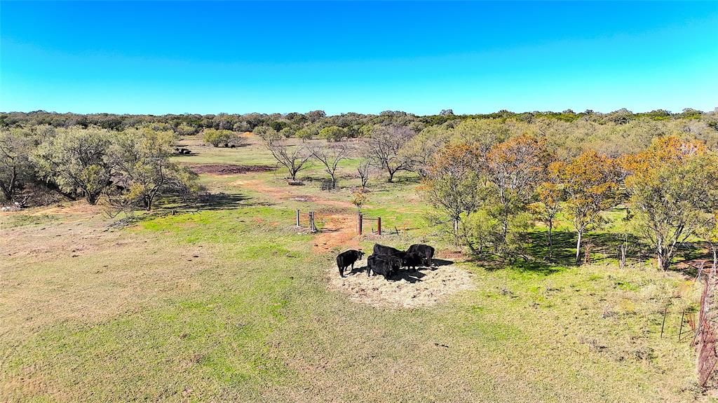 6 Hayes Road Mineral Wells, TX 76067 - Photo 3 of 20 a view of ocean view