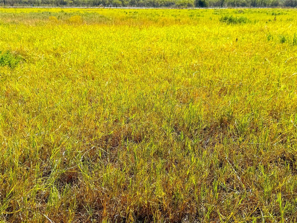 6 Hayes Road Mineral Wells, TX 76067 - Photo 7 of 20 a view of beach and swimming pool