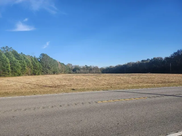 $129,500 | 0 Broxton Bridge Road, Bamberg, SC 29003