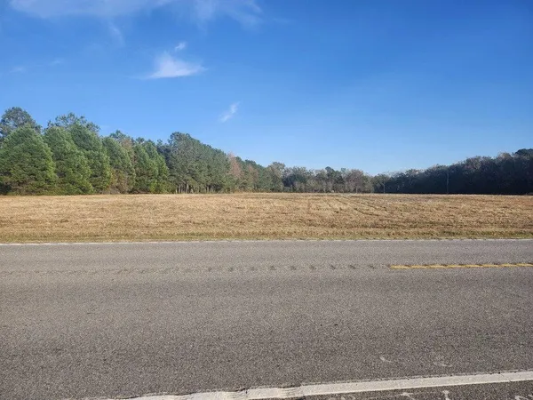 $119,500 | 0 Broxton Bridge Road, Bamberg, SC 29003