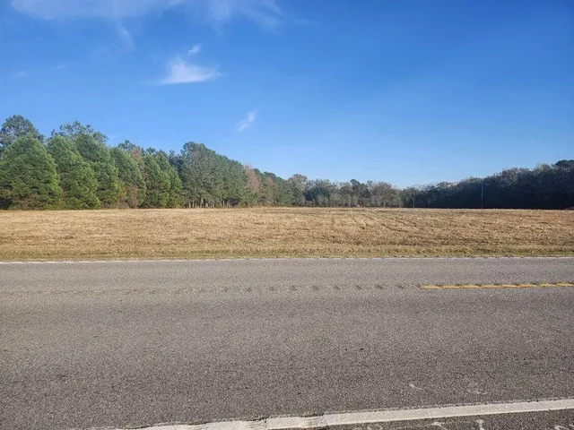 $129,500 | 0 Broxton Bridge Road, Bamberg, SC 29003