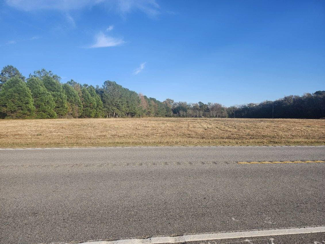 0 Broxton Bridge Road Bamberg, SC 29003 - Photo 3 of 4 Cedar & Pine on the left