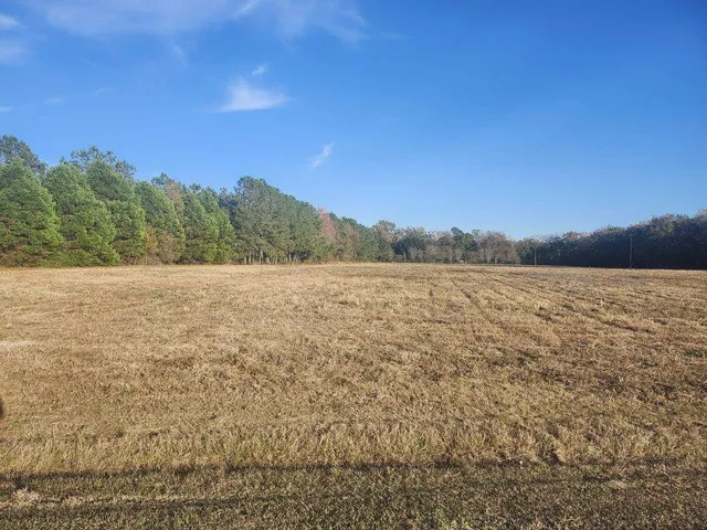 $129,500 | 0 Broxton Bridge Road, Bamberg, SC 29003