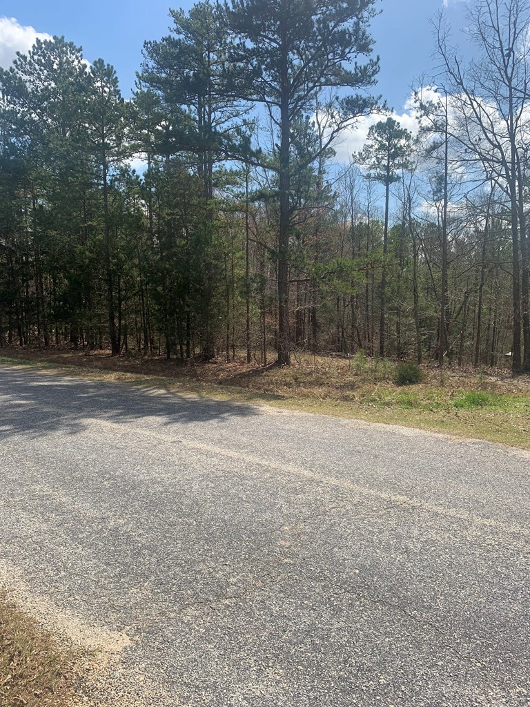 357 Nance Road Abbeville, SC 29620 - Photo 18 of 21 Gallery Image 18