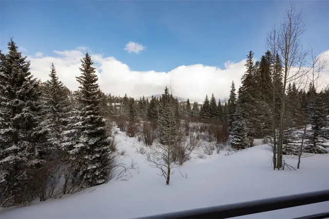 $319,000 | 10000 Ryan Gulch Road, Unit G105, Silverthorne, CO 80498