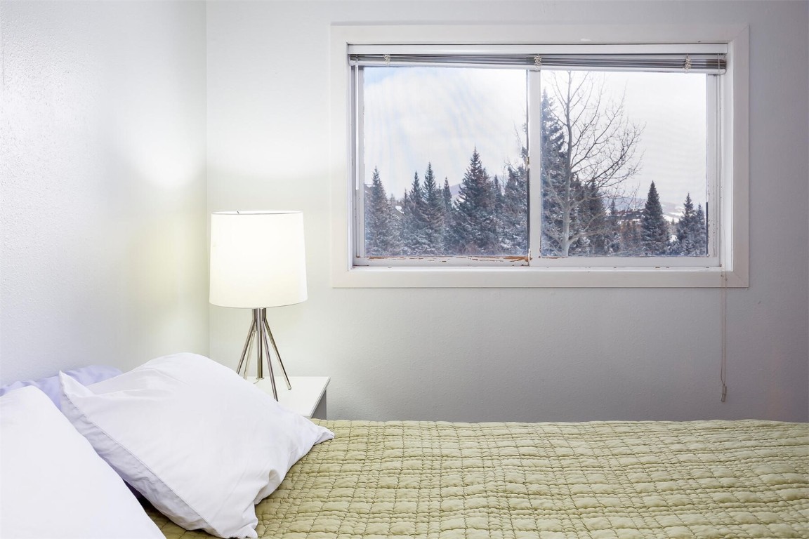 10000 Ryan Gulch Road, Unit G105 Silverthorne, CO 80498 - Photo 16 of 37 View of bedroom