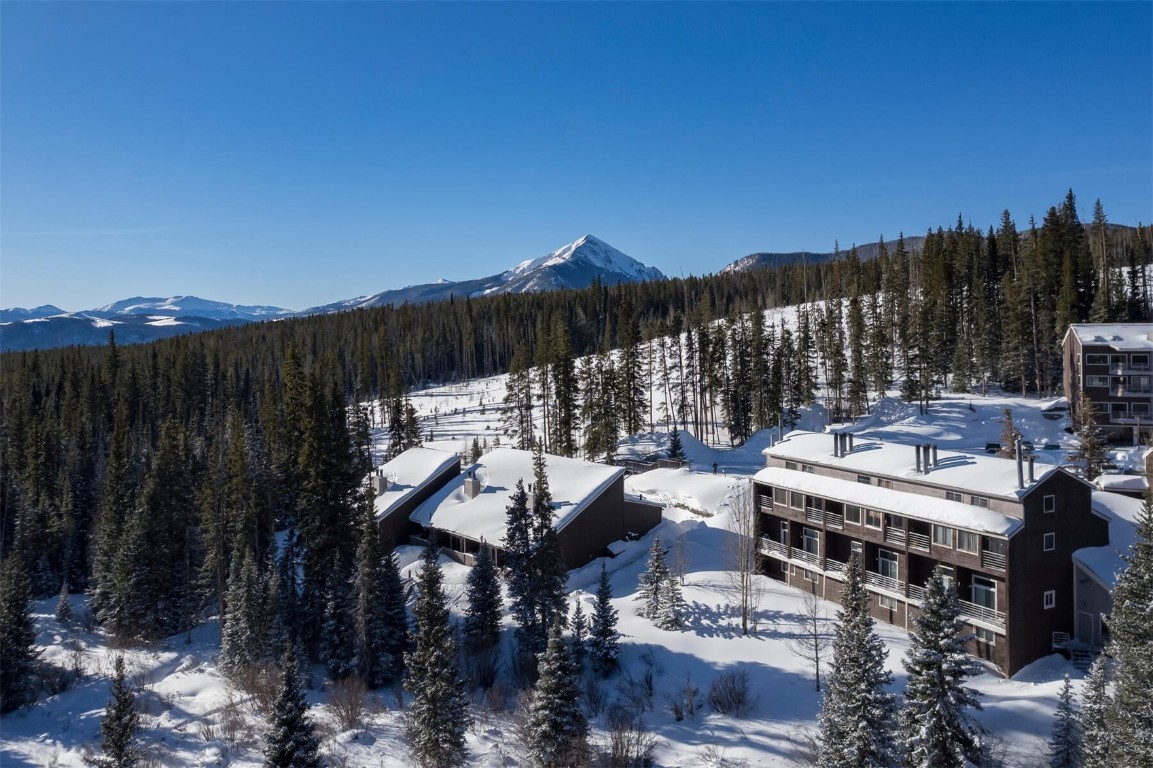 10000 Ryan Gulch Road, Unit G105 Silverthorne, CO 80498 - Photo 26 of 37 View of mountain backdrop featuring a heavily wooded area