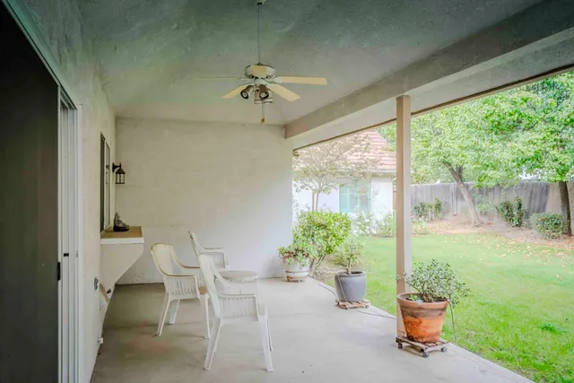a room with furniture and a potted plant