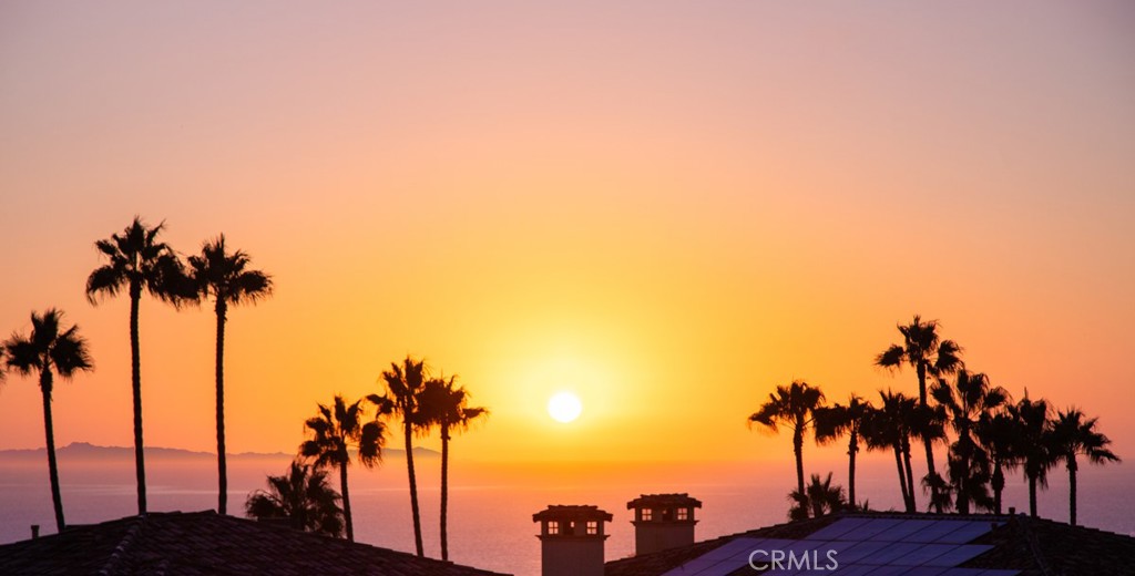 96 Ritz Cove Drive Dana Point, CA 92629 - Photo 33 of 42 Gallery Image 33