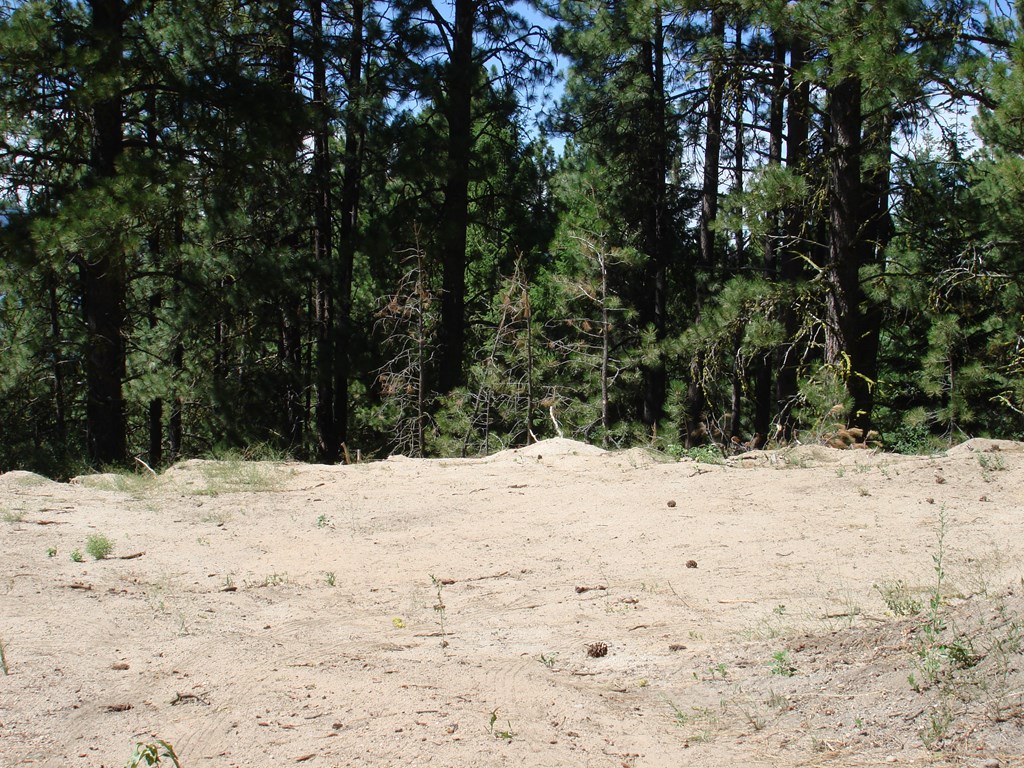 464 Collier View Road, Unit 91 Cascade, ID 83611 - Photo 6 of 25 Gallery Image 6
