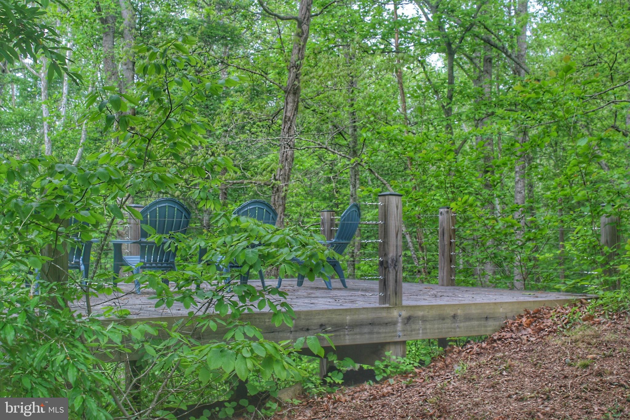 108 Grandview Road Washington, VA 22747 - Photo 18 of 46