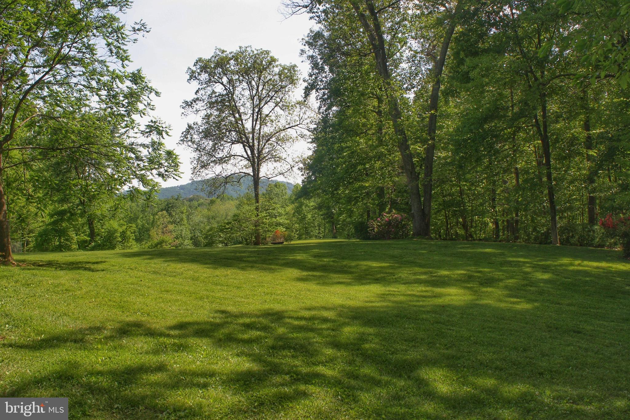 108 Grandview Road Washington, VA 22747 - Photo 5 of 46