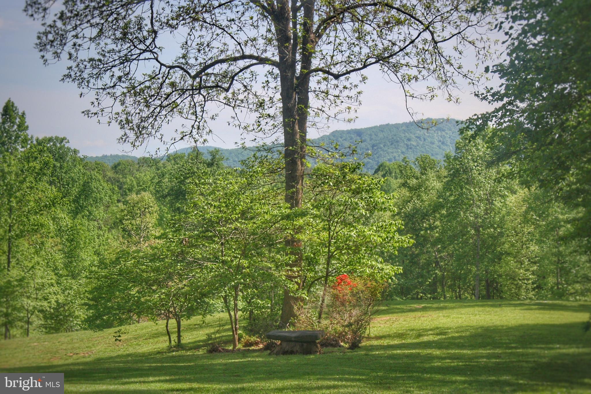 108 Grandview Road Washington, VA 22747 - Photo 10 of 46