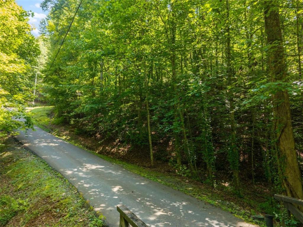 Lot26 Oak Rdg Way Ellijay, GA 30536 - Photo 8 of 40 Gallery Image 8