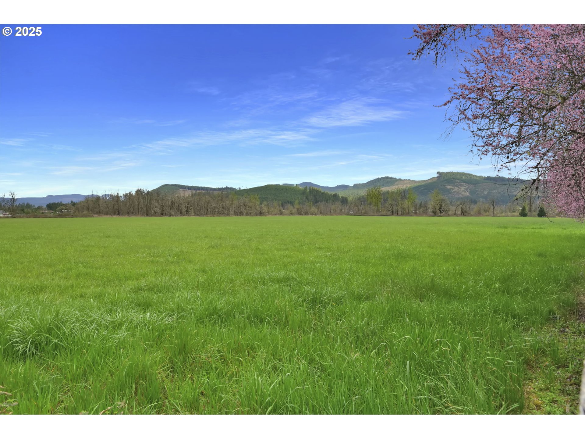 91375 Marcola Road Springfield, OR 97478 - Photo 41 of 42 Pasture