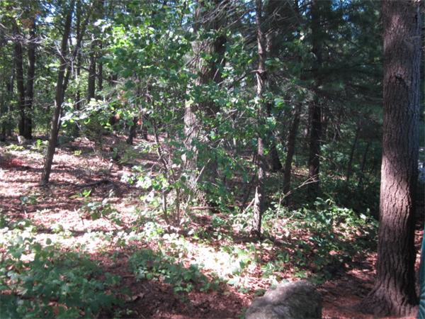 9 Burton Road Burlington, MA 01803 - Photo 29 of 30 Gallery Image 29