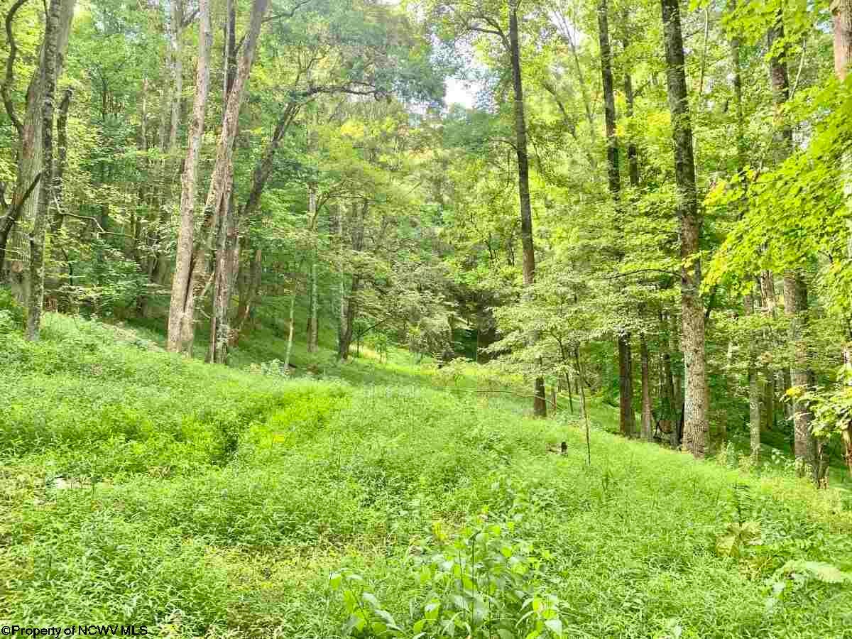 0 Porto Rico Road New Milton, WV 26411 - Photo 20 of 27 Gallery Image 20