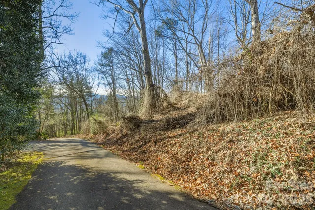 a view of backyard of a house with trees
