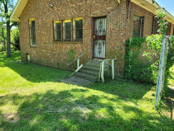 a view of a backyard with plants