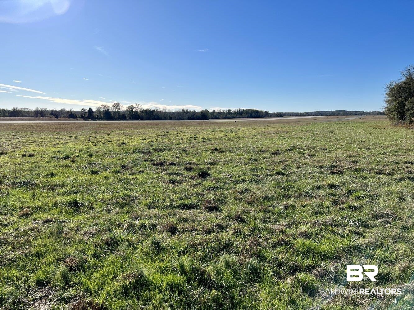 0 Highway 84 Evergreen, AL 36401 - Photo 8 of 50