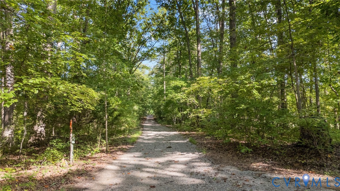 0 Davis Mill Road Goochland, VA 23063 - Photo 7 of 24 Shared driveway with easement.