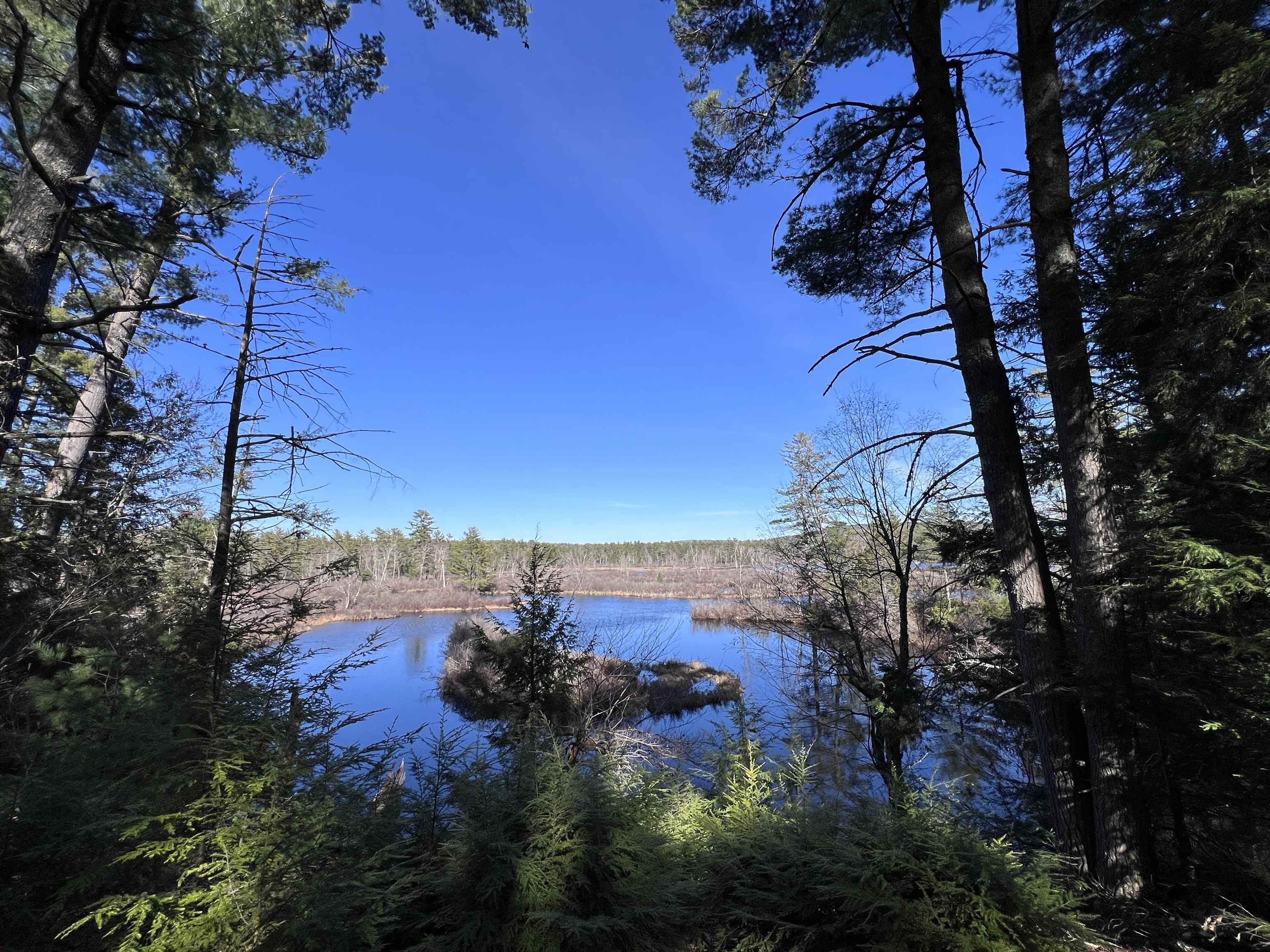 Lot 14 Northeast Pond Road Milton, NH 03851 - Photo 10 of 12