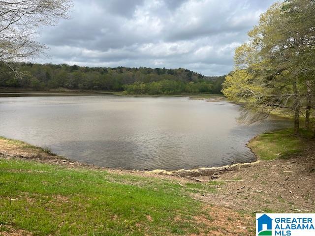 Watershed Road, Unit 46 Cragford, AL 36255 - Photo 1 of 11 Gallery Image 1