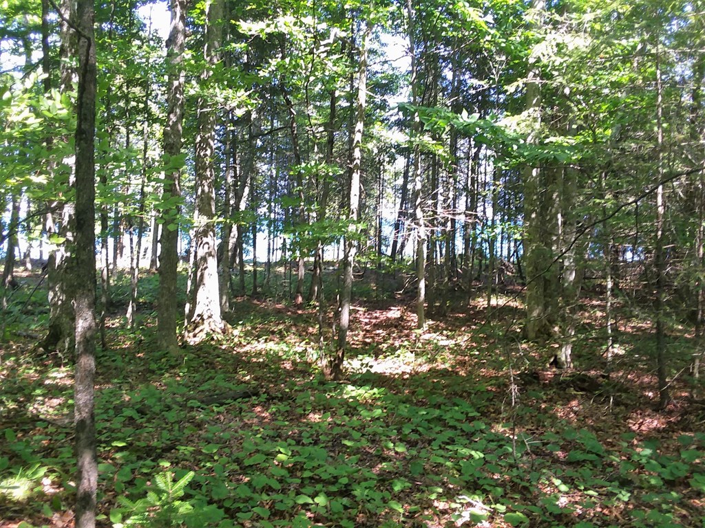 Tbd Lake Shore Road Sturgeon Bay, WI 54235 - Photo 3 of 13