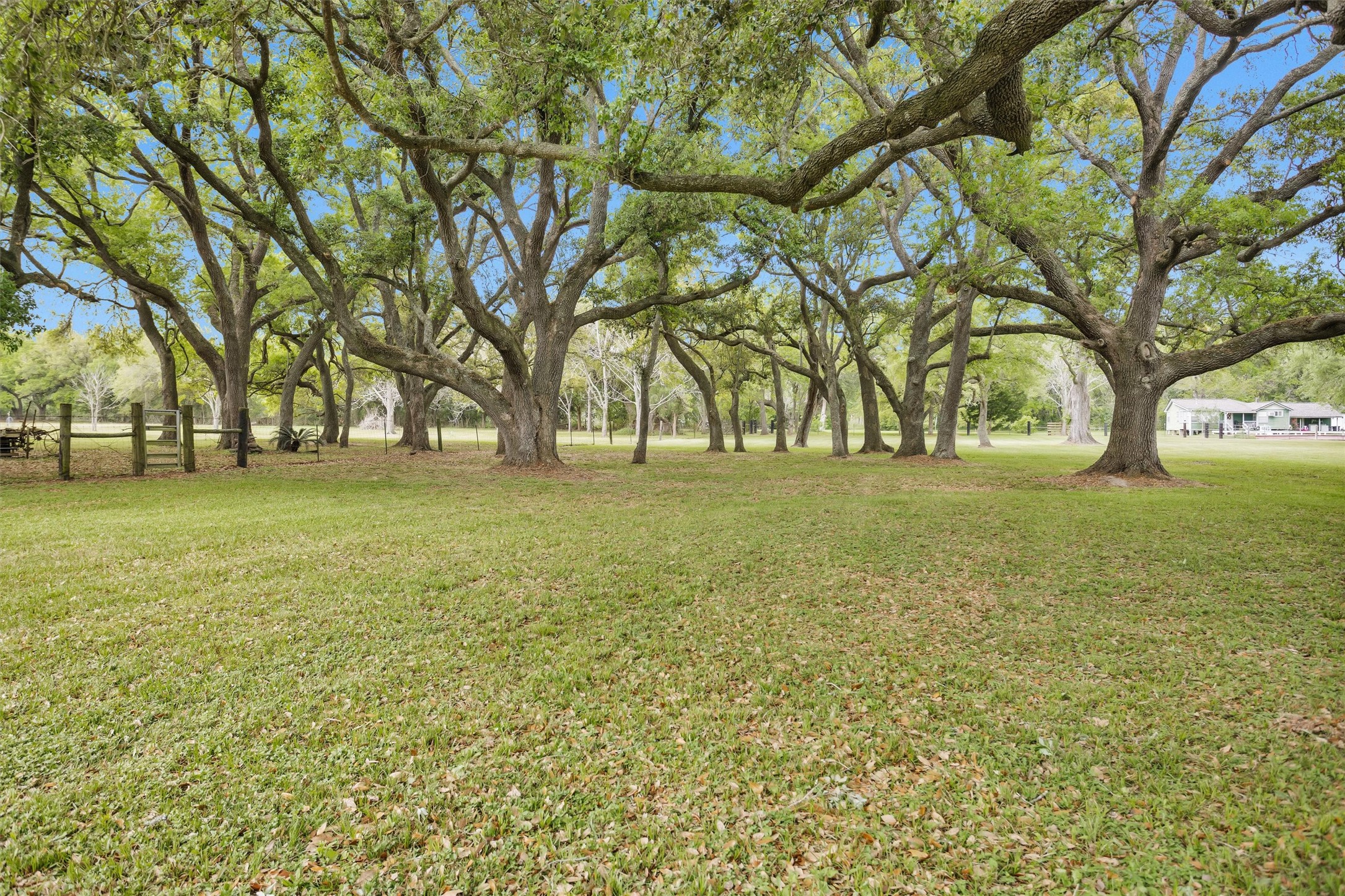 4402 Spears Road Manvel, TX 77578 - Photo 2 of 38 a view of a field with trees in the background