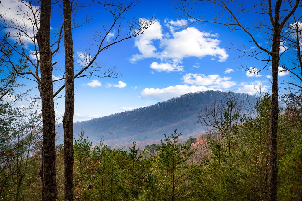 126 Sugar Mountain Road Blue Ridge, GA 30513 - Photo 3 of 78 a view of a house with a yard