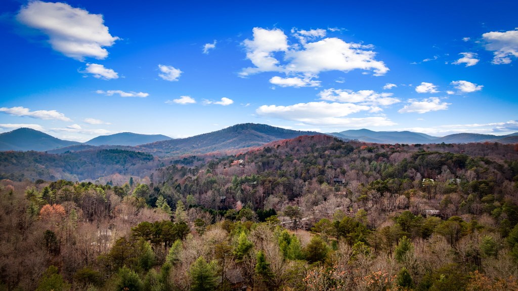 126 Sugar Mountain Road Blue Ridge, GA 30513 - Photo 37 of 78