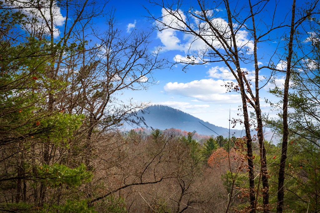126 Sugar Mountain Road Blue Ridge, GA 30513 - Photo 73 of 78 a view of mountain view with lots of trees