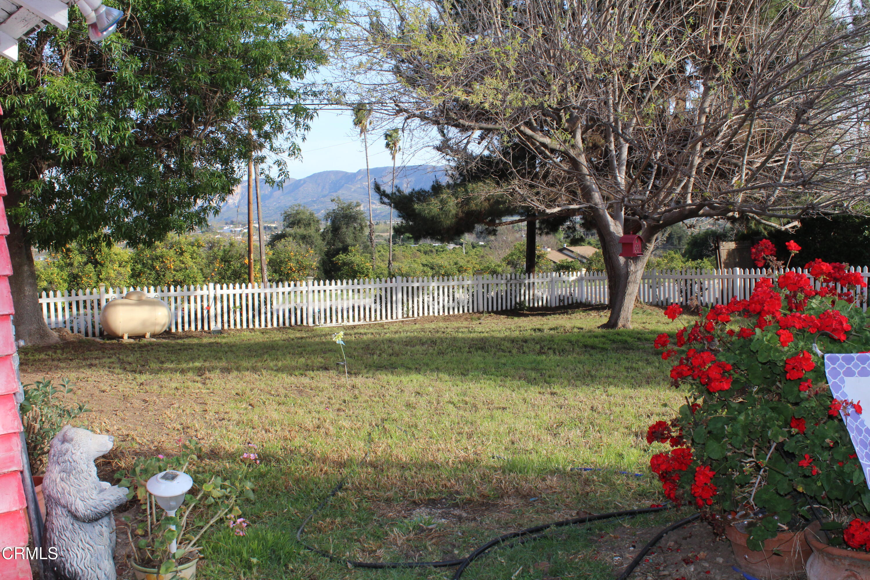 1173 Cliff Avenue Fillmore, CA 93015 - Photo 4 of 8 a view of swimming pool with a patio