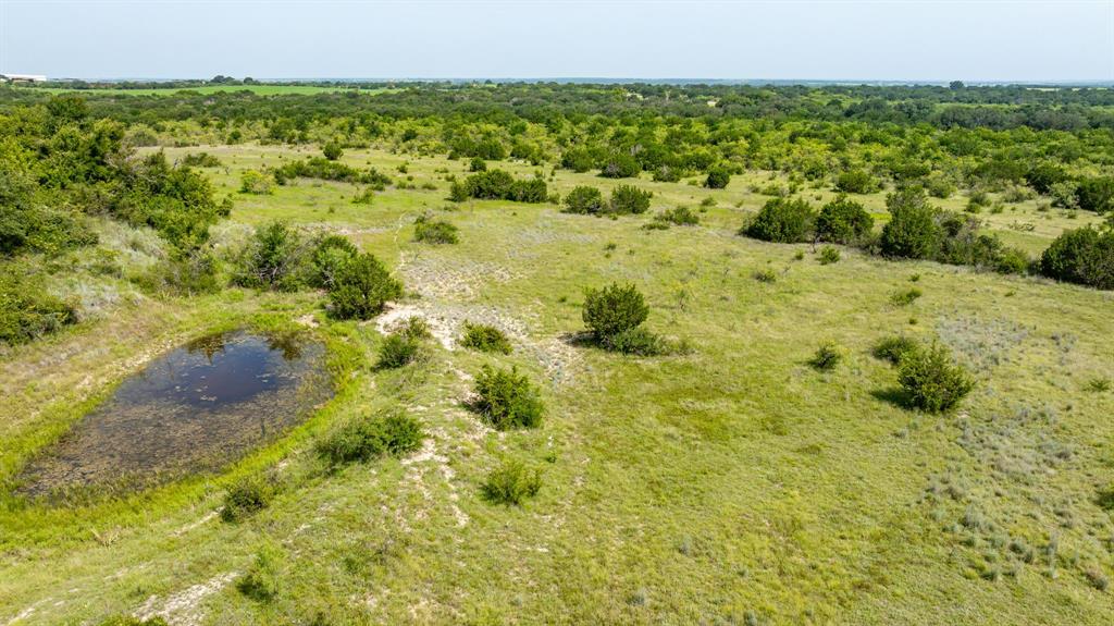 501 County Road 103, Unit 1 Comanche, TX 76442 - Photo 19 of 38 a view of a large yard with lots of trees